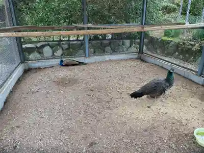 天台宗 五大山 白毫寺(兵庫県)