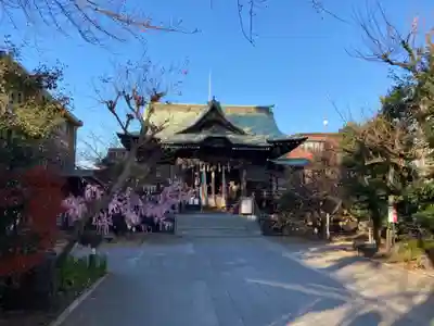桜神宮の本殿・本堂