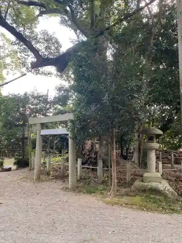 松阪神社の鳥居