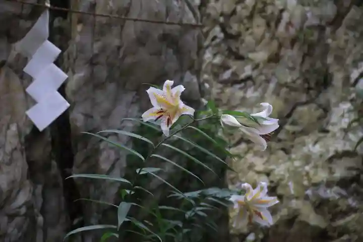 鹿島大神宮の自然