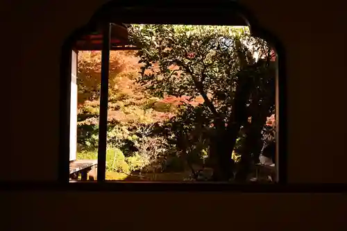 源光庵(京都府)