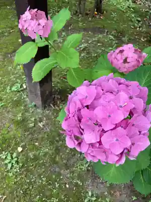 溝口神社(神奈川県)