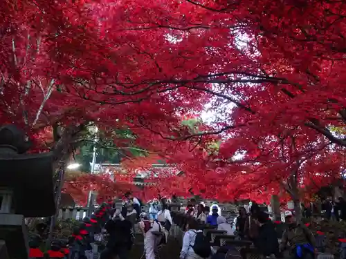 大山寺(神奈川県)