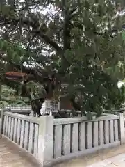 高砂神社の自然