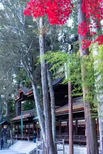 諏訪大社下社秋宮(長野県)