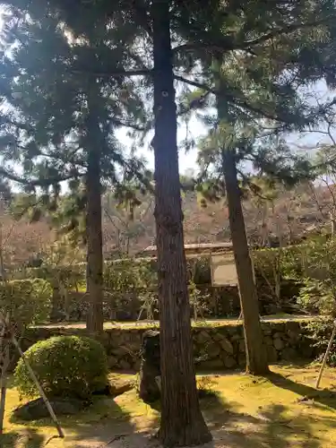 酬恩庵一休寺の自然