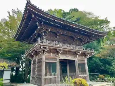 寳光寺　鹿野大佛(東京都)