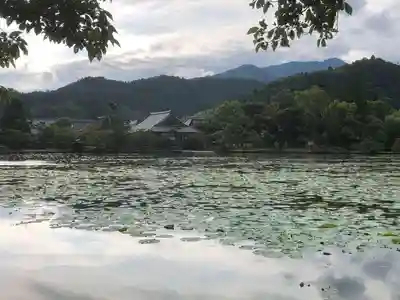 大覚寺(京都府)