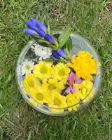 秩父札所十三番 慈眼寺の手水舎