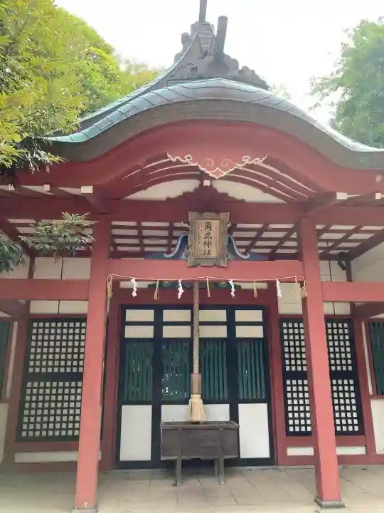 角鹿神社(福井県)