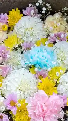 岡部春日神社～👹鬼門よけの🌺花咲く🌺やしろ～(福島県)