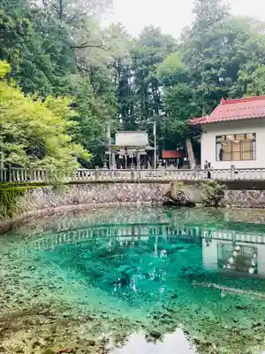 嚴島神社(山口県)