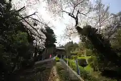 禅定寺の建物その他