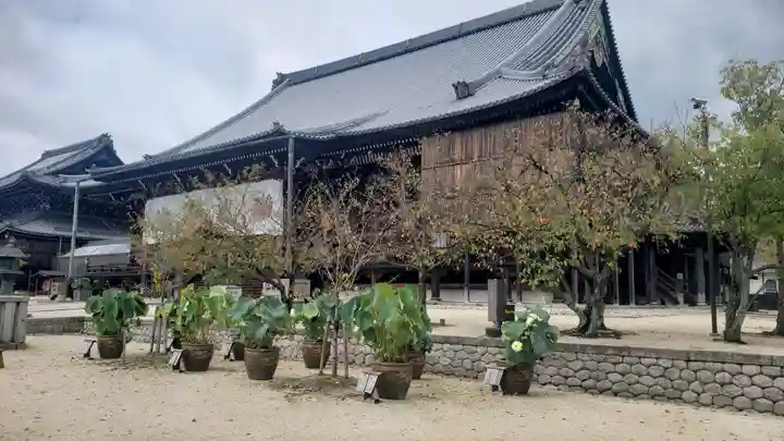 本山専修寺の本殿・本堂