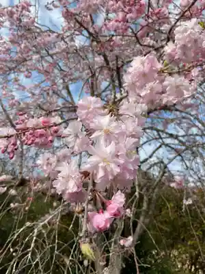 渭信寺(愛知県)