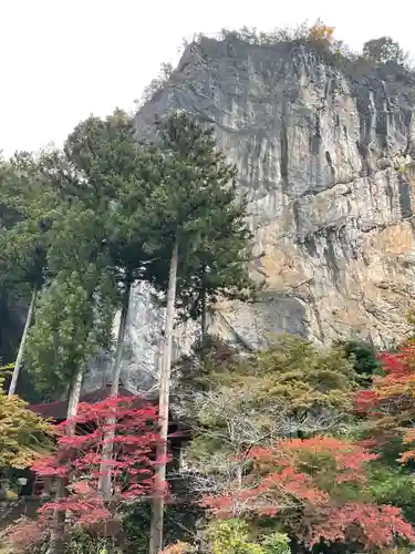 橋立堂(埼玉県)