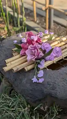 新琴似神社(北海道)