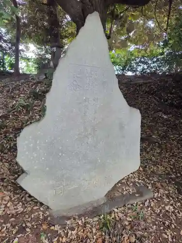 氷川神社(埼玉県)