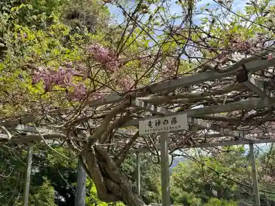 太江寺の{uncategorized: "未分類", other: "その他", undefined: "問題あり", building: "その他建物", grave: "お墓", sacred_gate: "鳥居", guardian: "狛犬", statue: "像", buddha: "仏像", history: "歴史", nature: "自然", garden: "庭園", animal: "動物", pagoda: "塔", temizu: "手水舎", mountain_gate: "山門・神門", sanctuary: "本殿・本堂", subordinate: "末社・摂社", art: "芸術", scenery: "景色", jizo: "地蔵", ema: "絵馬", goshuin: "御朱印", omikuji: "おみくじ", items: "授与品その他", amulet: "お守り", goshuincho: "御朱印帳", eats: "食事", festival: "お祭り", votive_dance: "神楽", shichigosan: "七五三参", wedding: "結婚式", experience: "体験その他", initially: "初詣", around: "周辺", anti_infection: "感染症対策"}