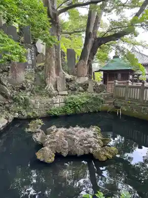 成田山新勝寺(千葉県)