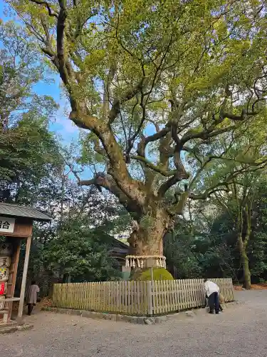 熱田神宮(愛知県)