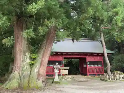 羽黒山五重塔(出羽三山神社)(山形県)