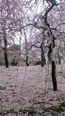 城南宮(京都府)