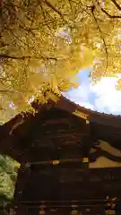 玉敷神社(埼玉県)