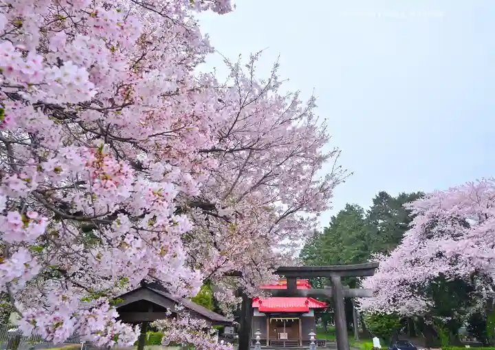 冨知神社(静岡県)