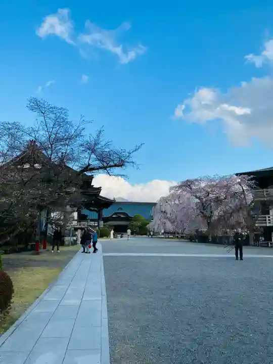久遠寺の{uncategorized: "未分類", other: "その他", undefined: "問題あり", building: "その他建物", grave: "お墓", sacred_gate: "鳥居", guardian: "狛犬", statue: "像", buddha: "仏像", history: "歴史", nature: "自然", garden: "庭園", animal: "動物", pagoda: "塔", temizu: "手水舎", mountain_gate: "山門・神門", sanctuary: "本殿・本堂", subordinate: "末社・摂社", art: "芸術", scenery: "景色", jizo: "地蔵", ema: "絵馬", goshuin: "御朱印", omikuji: "おみくじ", items: "授与品その他", amulet: "お守り", goshuincho: "御朱印帳", eats: "食事", festival: "お祭り", votive_dance: "神楽", shichigosan: "七五三参", wedding: "結婚式", experience: "体験その他", initially: "初詣", around: "周辺", anti_infection: "感染症対策"}