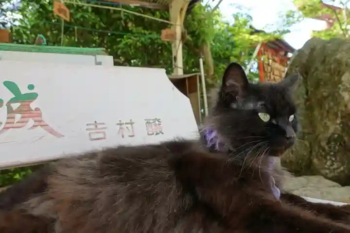 粉河産土神社(たのもしの宮)の動物