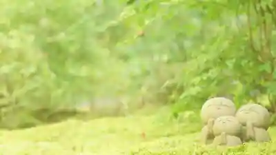 詩仙堂(丈山寺)(京都府)