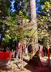 立志神社(滋賀県)