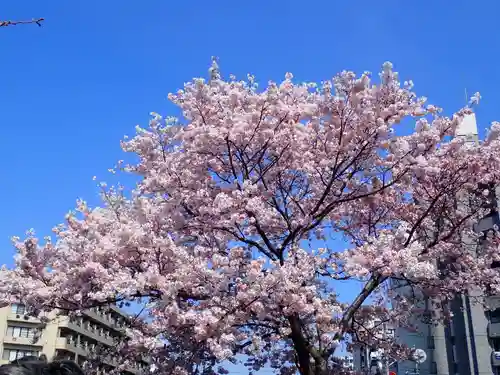 瑞延寺の御朱印