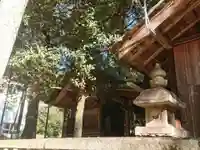 津島神社の本殿・本堂