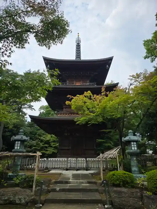 豪徳寺(東京都)
