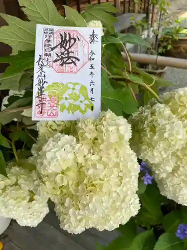 妙蓮寺(神奈川県)