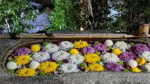 妙顯寺（妙顕寺）(京都府)