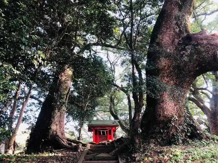 大汝牟遅神社の建物その他