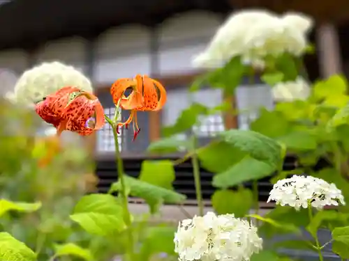 龍光院(長野県)