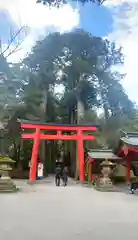 箱根神社(神奈川県)