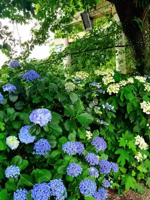 稲荷神社(愛知県)