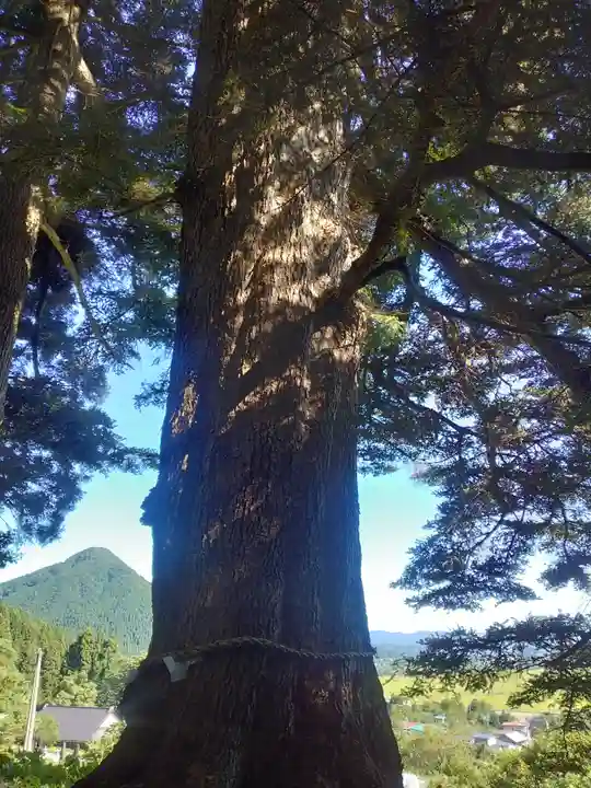 副川神社(秋田県)