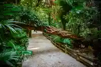 青島神社(青島神宮)(宮崎県)