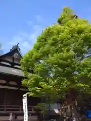 賀羅加波神社(広島県)