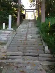 稲田神社の鳥居