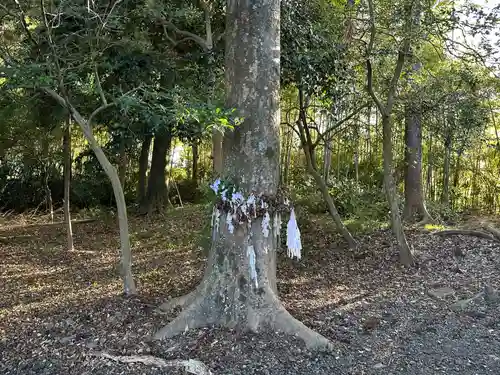 乃伎多神社（高月町東阿閉）(滋賀県)