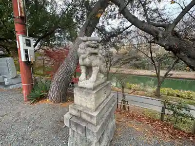 金井戸神社の狛犬
