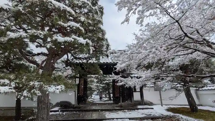 圓光寺(京都府)