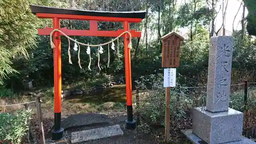 鷲宮神社の鳥居